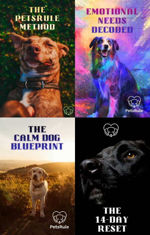 The Understanding Bundle