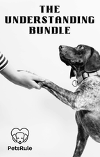 The Understanding Bundle