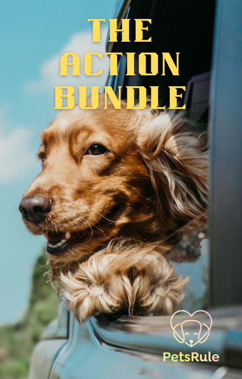 Dog with head out of car window, 'The Action Bundle' text above, PetsRule logo below
