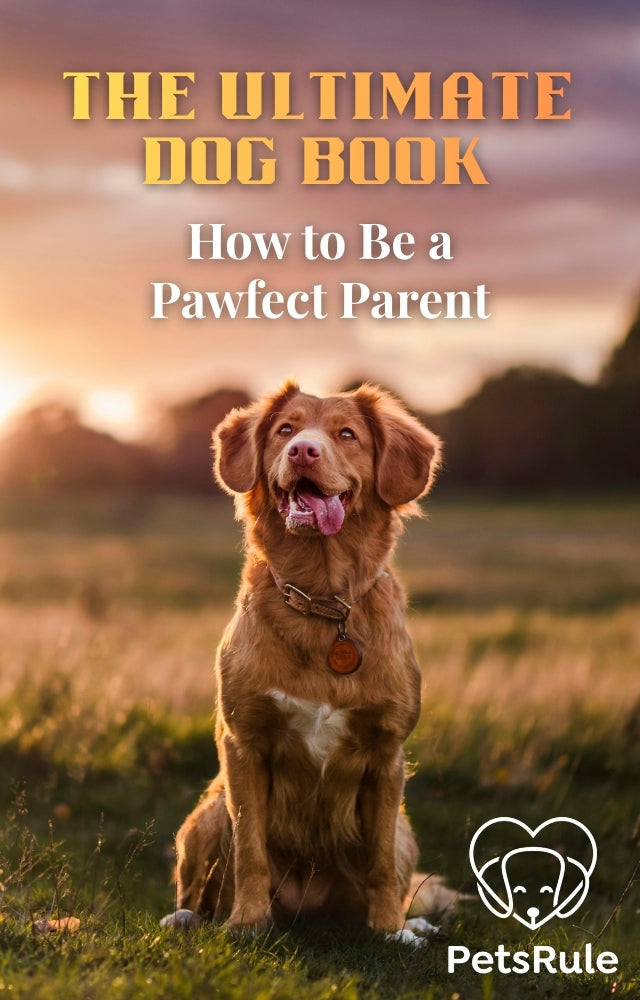Dog sitting in a field with 'The Ultimate Dog Book: How to Be a Pawfect Parent' text and PetsRule logo.