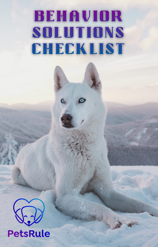 The Behavior Solutions Checklist