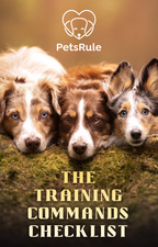 The Training Commands Checklist