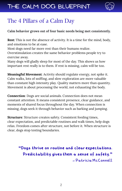 The Calm Dog Blueprint
