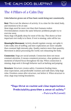 The Calm Dog Blueprint